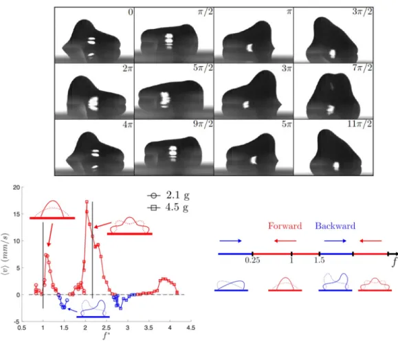FIG. 6. Top: Sequence of successive droplet shapes at relatively high forcing frequency f ∗ = 1.48 ( f