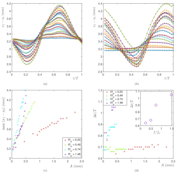 FIG. 9. (a, b) Time-evolution of the basal diameter (x f − x b ), over one period and for various forcing amplitude A