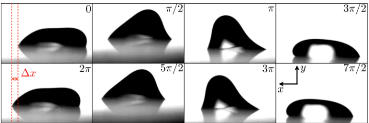 FIG. 1. Successive deformations of a droplet V = 10 μl of a glycerin/water solution of η = 31.5 cSt, subjected to a substrate vibration of f = 50 Hz and A = 0.67 mm along a direction of α = 60 