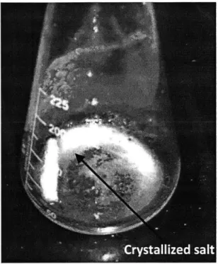 Figure  11.  Salt  crystallized  out  of  saturated  brine  (29%  NaCl  in  distilled  water)  upon  mixing  with Octanoic acid at 90  *C