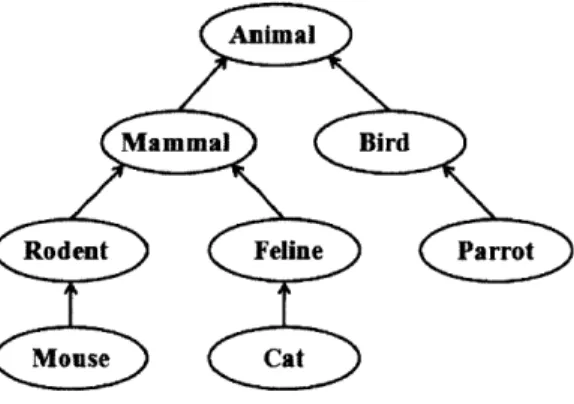 Figure  2-2  - Threads  for  mouse,  cat  and  parrot  combined  into  a  classification  tree  of animal