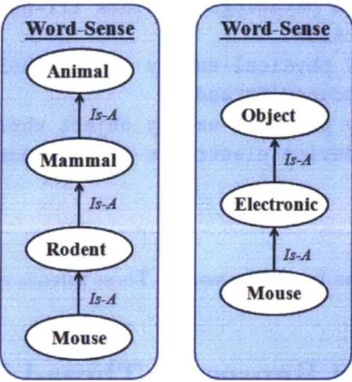 Figure  2-3  - two  different  word  senses  for  the  same word  - mouse
