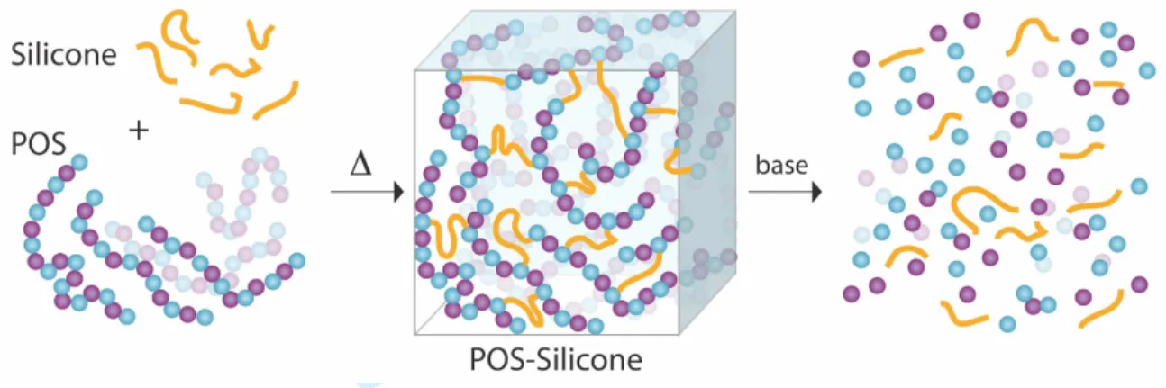 Figure 1.  Formation of elastomeric cross-linked POS-Silicone composites and their decomposition via  unzipping of POS when exposed to base
