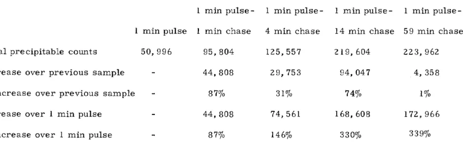 Table I. Increase in total amount of acid precipitable radioactivity during chases of a 1 minute pulse.