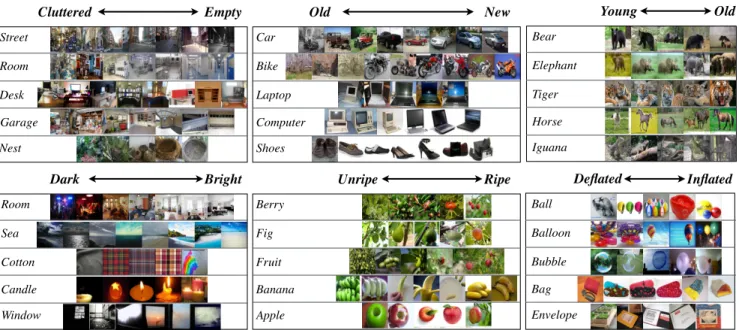 Figure 12. Example transformation visualizations: each transformation was discovered from the image collection of a noun class that was not included in the algorithm’s training.