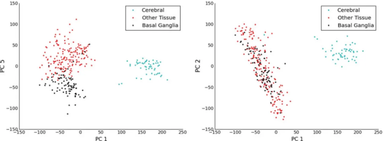 Table 5. Limiting Our Attention to the Brain, for Each of the First 10 PC s Calculate the MI C