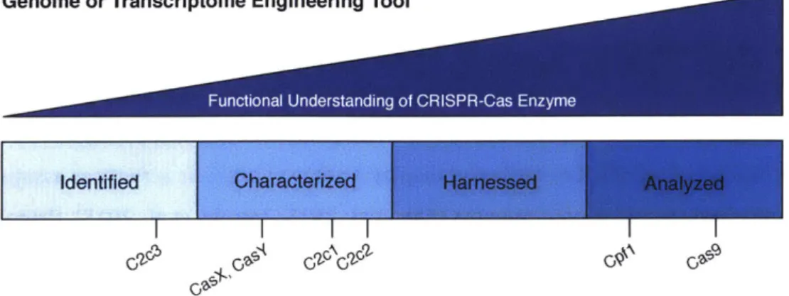 Figure 5: Functional  characterization of Class  2  CRISPR-Cas systems  for use  as genome editing or transcriptome editing tools.