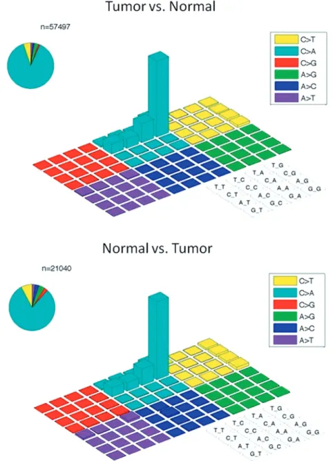 Figure 2. Presence of CCG &gt; CAG mutations in both tumor and normal samples. CCG &gt; CAG mutations can also be detected at an abnormally high rate in this set of neuroblastoma samples when mutation calling was ﬂipped to call variants off normal samples 