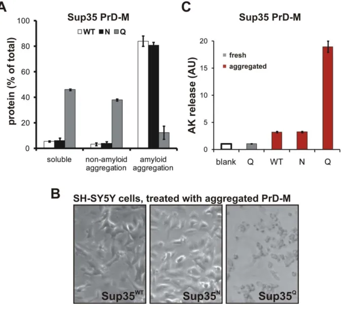 Figure 5.  Q-rich proteins  preferentially form non-amyloid conformers.  (A) Quantitation of soluble,  amyloid, and non-amyloid aggregated protein in assemblies of Sup35 PrD-M-His7 variants