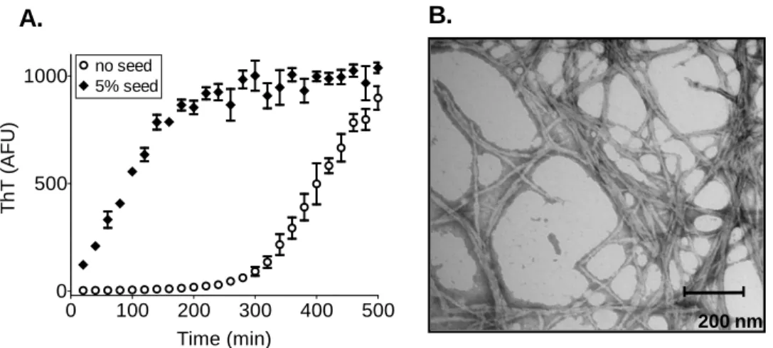 Figure 3 -  Nup100Mf forms amyloid under physiological conditions.  (A)  Nup100Mf-Trp-7xHis was diluted  from denaturant to 20 µM in assembly buffer