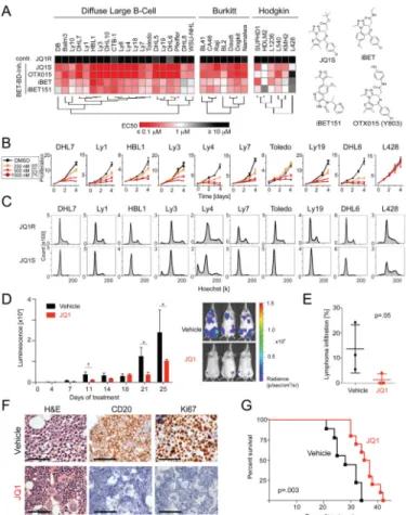 Figure 1. In vitro analyses of BET Bromodomain inhibition in various B-cell lymphomas (A) Hierarchical clustering of mean EC50s of the four BET inhibitors (72 hr treatment) in the indicated panel of B-cell lymphoma cell lines