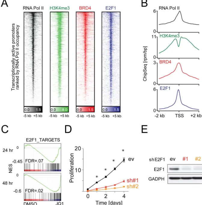 Figure 3. Co-localization and function of BRD4 and E2F1 at active promoters