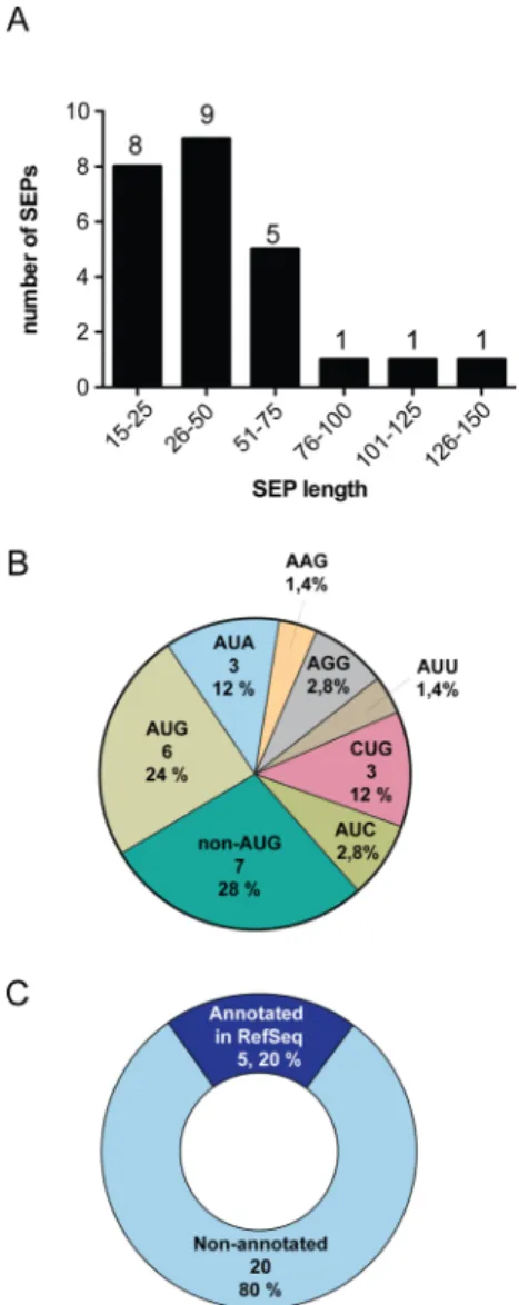 Figure 6. Discovery of 25 tumor derived SEPs (tdSEPs). (A) Length distribution, (B) initiation codon usage, and (C) RNA source of tdSEPs were similar to the distributions seen for SEPs derived from cell lines.