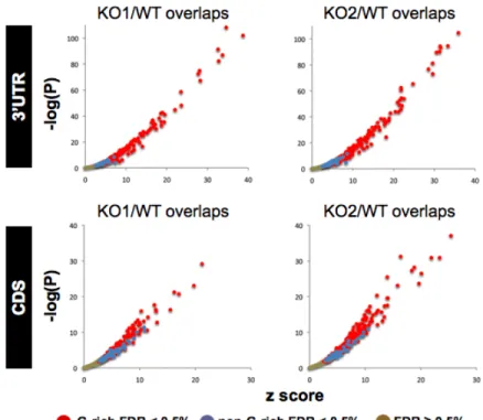 Figure 1J: Hexamer enrichment in 3’UTR and CDS clusters from individual KO  Ago2-CLP libraries that overlap with WT libraries 