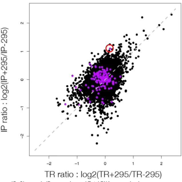 Figure 1D: Changes in IP expression and Total RNA expression by gene. 