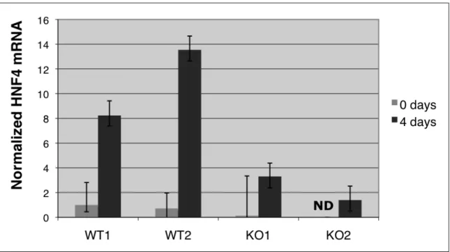 Figure 3A: Expression of HNF4alpha mRNA with differentiation of miR-290~295  cluster ESCs 
