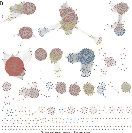 Fig. 2. C. trachomatis salvages queuine in 2 steps. (A) Amino acid sequence alignment of select TGT proteins using PROMALS3D (74)