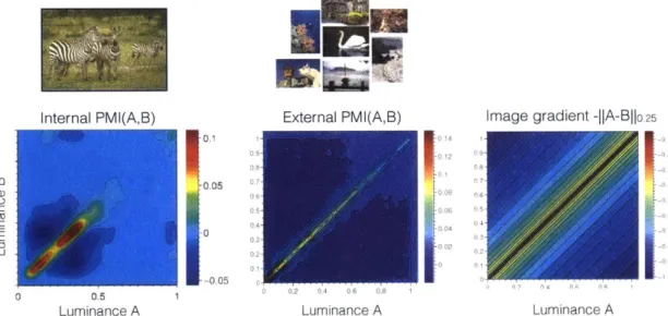 Figure  2.6:  The  PMI  function,  over  luminance  values  A  and  B,  learned  from  internal image  statistics  (left)  versus  external  statistics  (middle)
