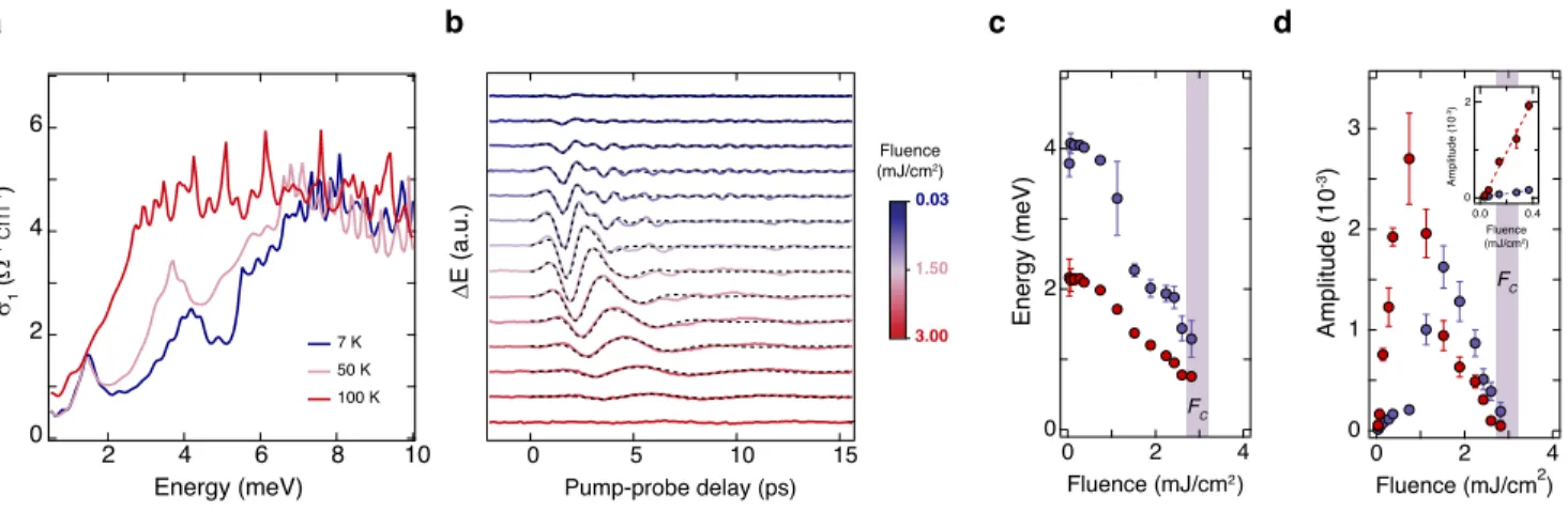 FIG. 2. Observation of low-energy electronic collective modes and their critical softening