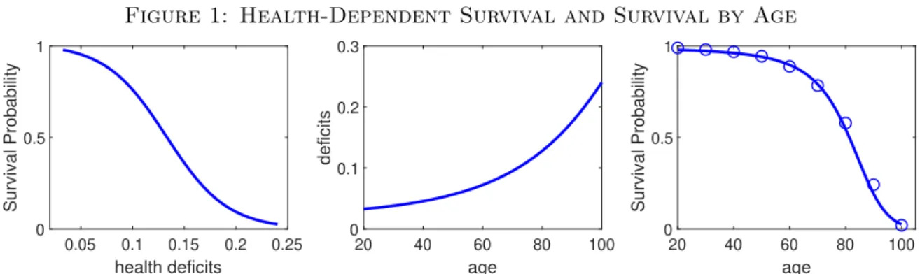 Figure 1: Health-Dependent Survival and Survival by Age 0.05 0.1 0.15 0.2 0.25 health deficits00.51Survival Probability 20 40 60 80 100age00.10.20.3deficits 20 40 60 80 100age00.51Survival Probability