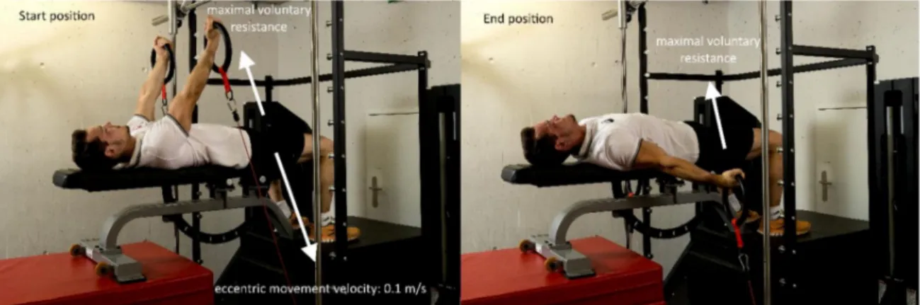 Figure 4. Training exercise. Start (left) and end positions (right) of the eccentric–isokinetic training exercise for the swallow and support scale elements performed on the 1080 Quantum Syncro (1080 Motion, Lidingö, Sweden)