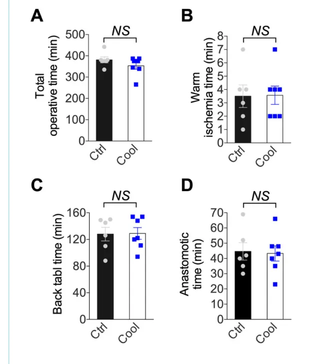 Figure 3: Intra-operative data. (A) Total operative time, (B) warm ischaemia time, (C) back table time, (D) anastomotic time from control and cooling kidney (n = 6–7)