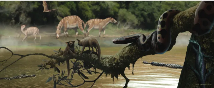 Fig. 18 Life reconstruction of Palaeopython helveticus sp. nov. and other faunal elements of the Dielsdorf palaeoenvironment during the late middle–late Eocene