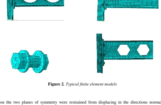 Figure 2. Typical finite element models 