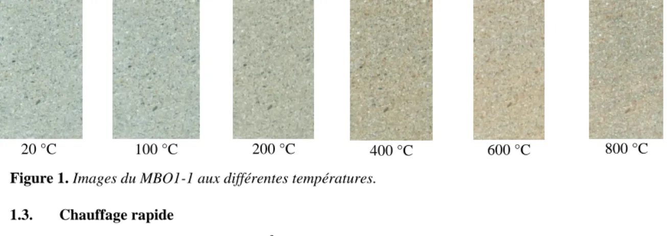 Figure 1. Images du MBO1-1 aux différentes températures. 