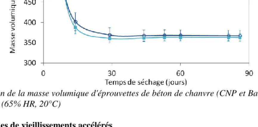 Figure 7 : Evolution de la masse volumique d'éprouvettes de béton de chanvre (CNP et Batichanvre) pendant la  période de séchage (65% HR, 20°C) 