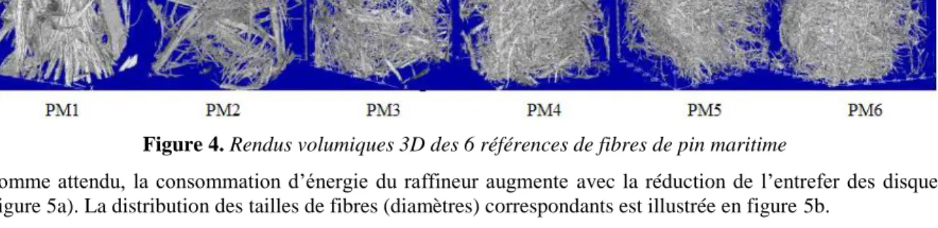 Figure 4. Rendus volumiques 3D des 6 références de fibres de pin maritime 
