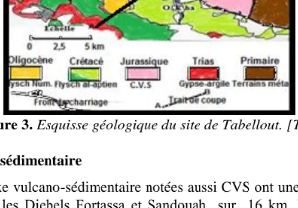 Figure 3. Esquisse géologique du site de Tabellout. [TEK 13] 