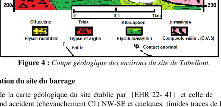 Figure 4 : Coupe géologique des environs du site de Tabellout. 