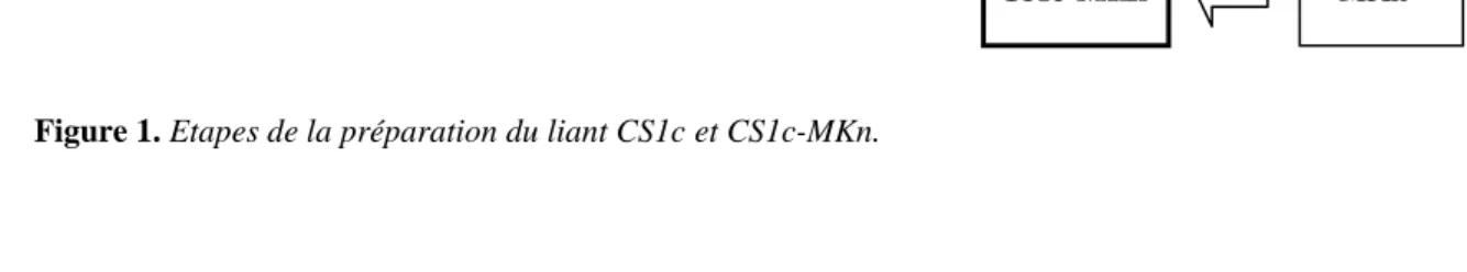 Figure 1. Etapes de la préparation du liant CS1c et CS1c-MKn. 