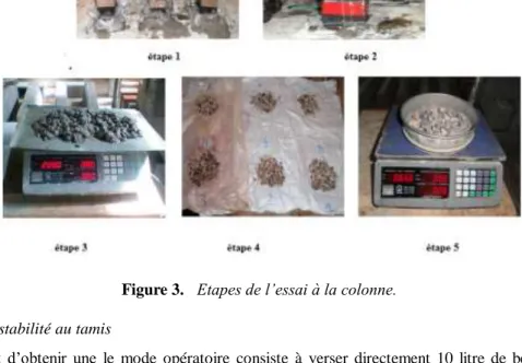 Figure 3.   Etapes de l’essai à la colonne. 