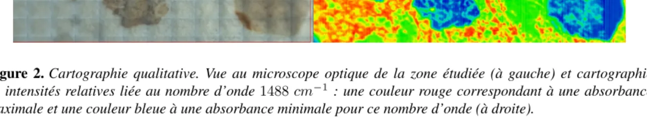 Figure 2. Cartographie qualitative. Vue au microscope optique de la zone étudiée (à gauche) et cartographie en intensités relatives liée au nombre d’onde 1488 cm −1 : une couleur rouge correspondant à une absorbance maximale et une couleur bleue à une abso