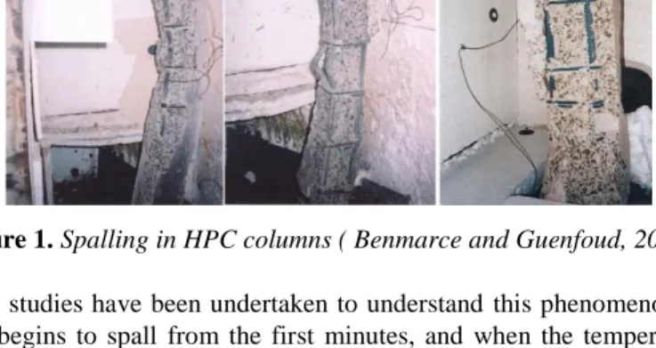 Figure 1. Spalling in HPC columns ( Benmarce and Guenfoud, 2005). 