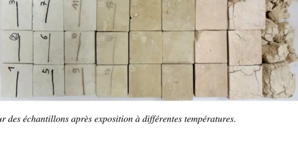 Figure 1. Couleur des échantillons après exposition à différentes températures. 