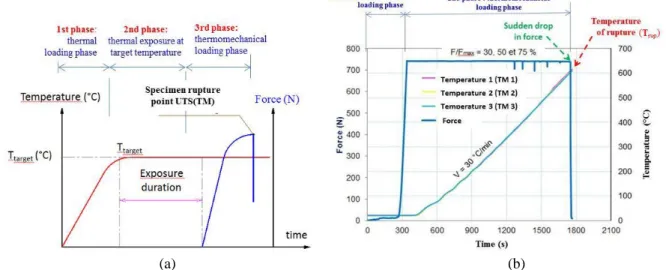 Figure 2 : Used loading paths : (a) regime 1: maximum mechanical strength holding at a constant temperature; 