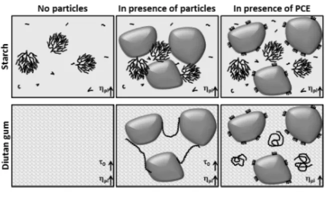 Fig. 3: Suggested stabilising mechanism of starch in  different systems of solid particle volume fractions  (Schmidt et al., 2013a)