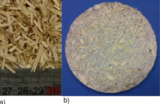Fig. 3: Picture of bulk hemp shiv a) and of cross  section of hardened M1 LHC specimen b)