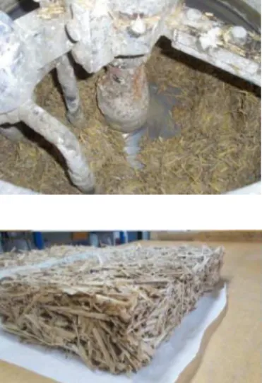 Fig. 1: Manufacture of the composite and straw/plaster  blocks.  
