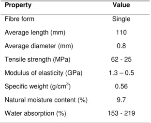 Fig. 1: Sugarcane bagasse fibre. 