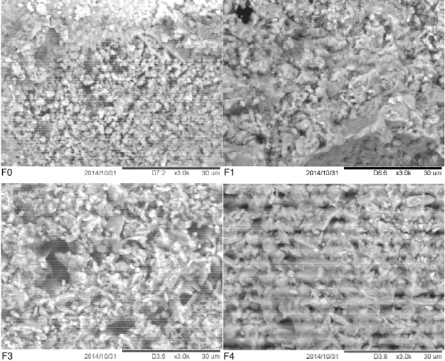 Fig. 5: Compressive strength versus time of F1 type  hemp concrete with density of 405 kg/m 3 