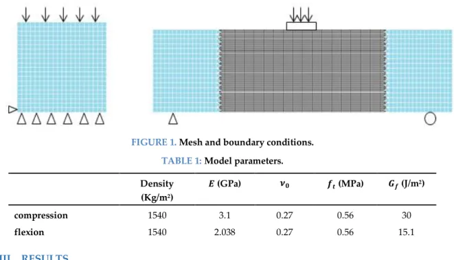 FIGURE 1. Mesh and boundary conditions. 