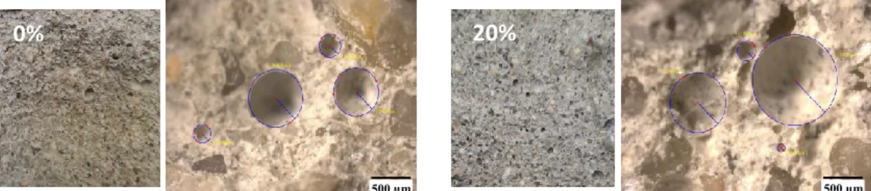 FIGURE 3. Microscopic observation of PMI_0 and PMI_20 (0% and 20%wt of substitution) 
