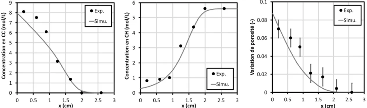 FIGURE 1.   Comparaison des résultats expérimentaux avec les simulations numériques : profils de  carbonates de calcium (à gauche), de la portlandite (au milieu), variation de la porosité (à droite) 