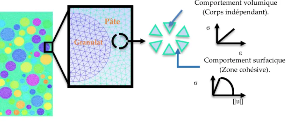 FIGURE 1. Approche multi-cops et complémentarité volumique-surfacique.