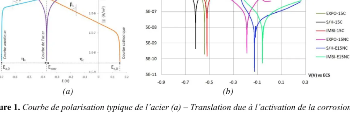 Figure 1. Courbe de polarisation typique de l’acier (a) – Translation due à l’activation de la corrosion (b) 