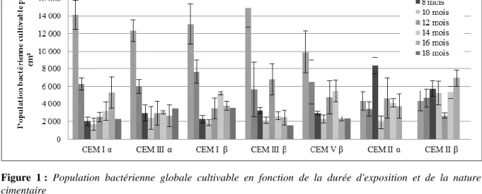 Figure  1 :  Population  bactérienne  globale  cultivable  en  fonction  de  la  durée  d'exposition  et  de  la  nature  cimentaire 